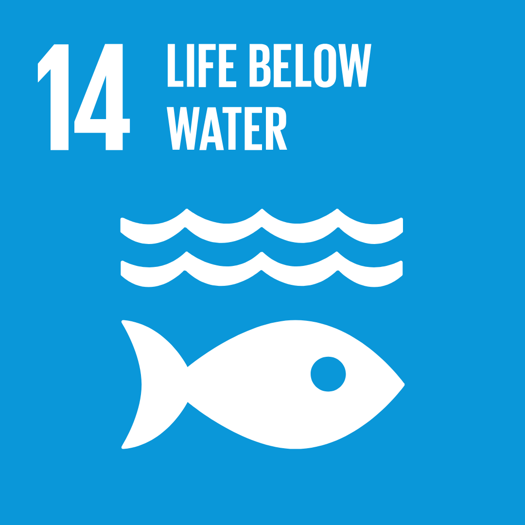 picture of SDG 14 icon: Life below water showing 2 water waves with fish below